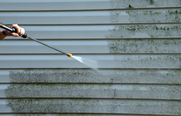 Professional Pressure washing in Ivanhoe, TX